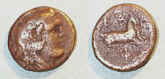 0629.JPG (79077 bytes)