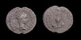 4449hen.JPG (33161 bytes)
