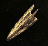 7758.JPG (87499 bytes)