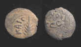 8330.JPG (105908 bytes)