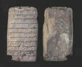 8788.JPG (72657 bytes)