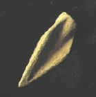 8829.JPG (16681 bytes)