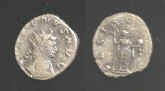 9519.JPG (44447 bytes)