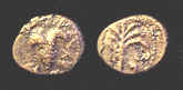 9541.JPG (39631 bytes)