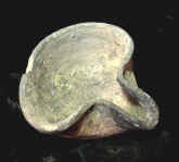 9546.JPG (35871 bytes)