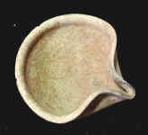 9549.JPG (31478 bytes)